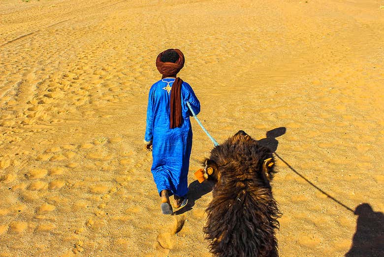 In cammello nel deserto